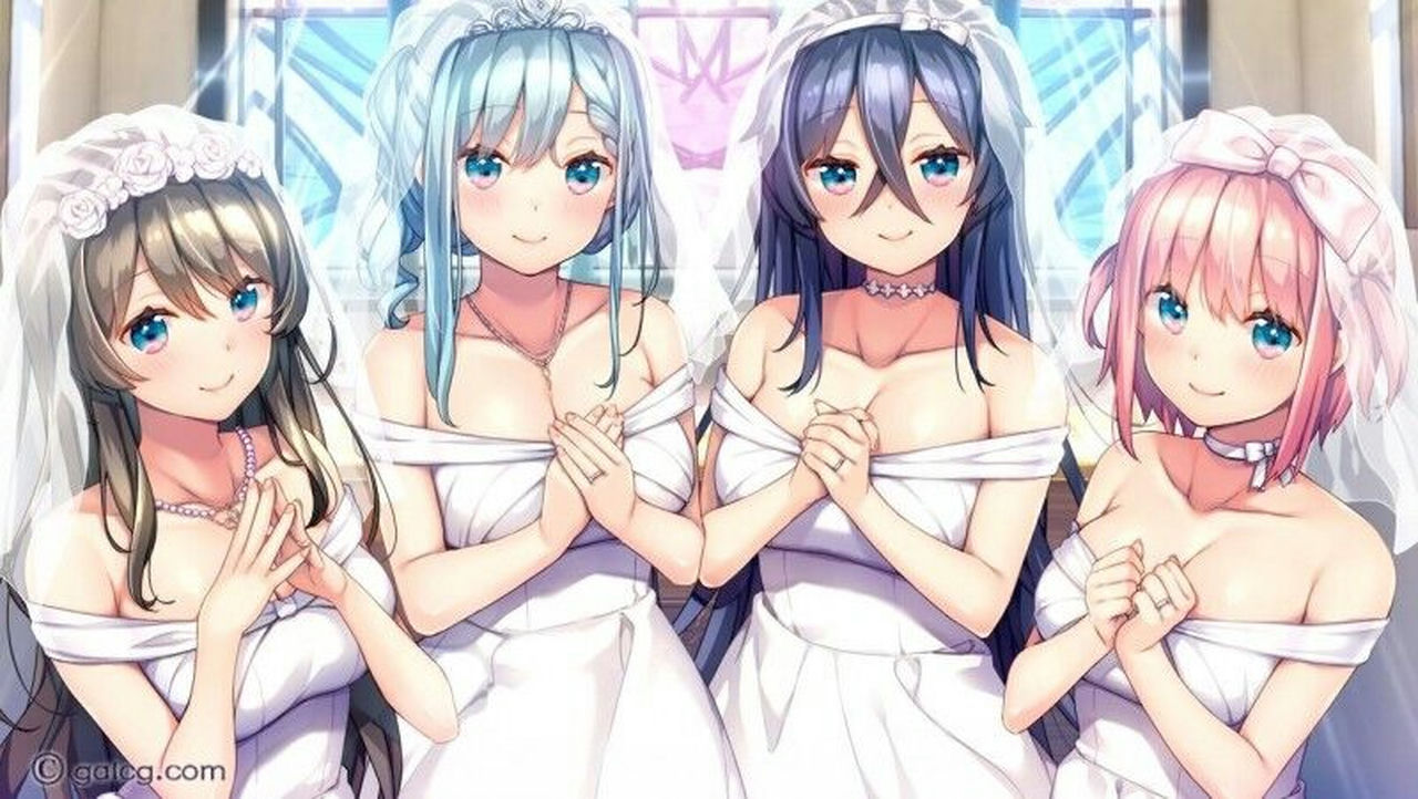 A1614 - 白诘戒指：四等分的花嫁 White Ring V1.0 免安装中文版[2.63GB]