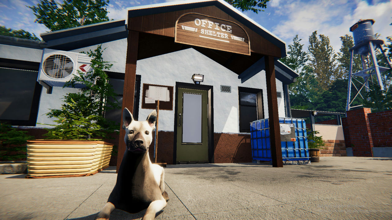 动物庇护所 Animal Shelter Simulator 集成马匹之家DLC 免安装中文版[6.48GB]【B1120】